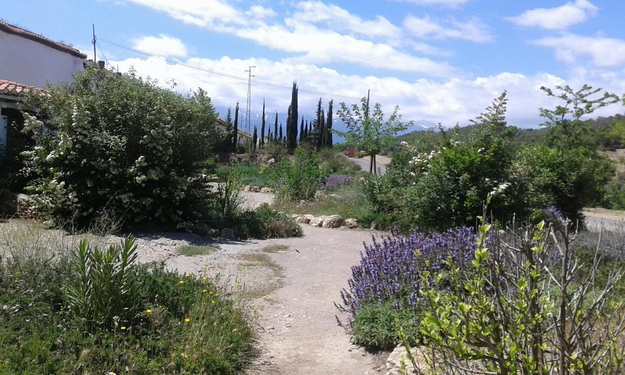 Cuevas Del Zenete Leilighet Alcudia de Guadix Eksteriør bilde